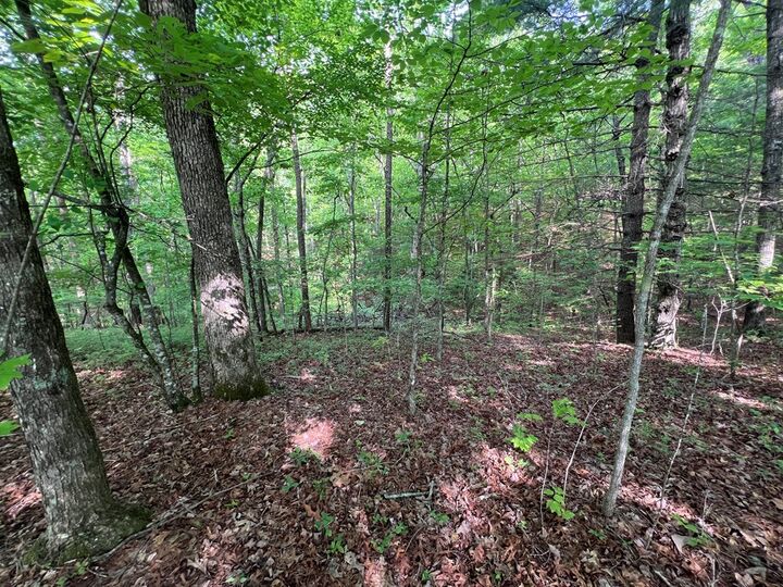 Property Photo:  9 + Acre Leonard Lane  NC 28906 