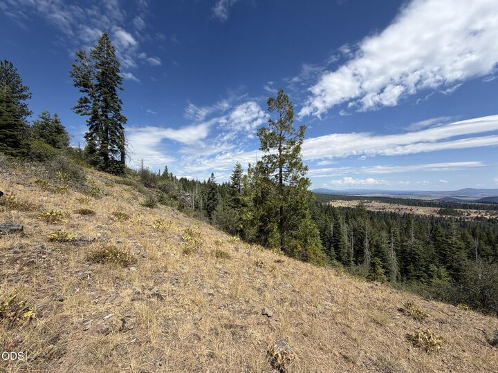 Property Photo:  0 Walrus Lane 388501  OR 97623 