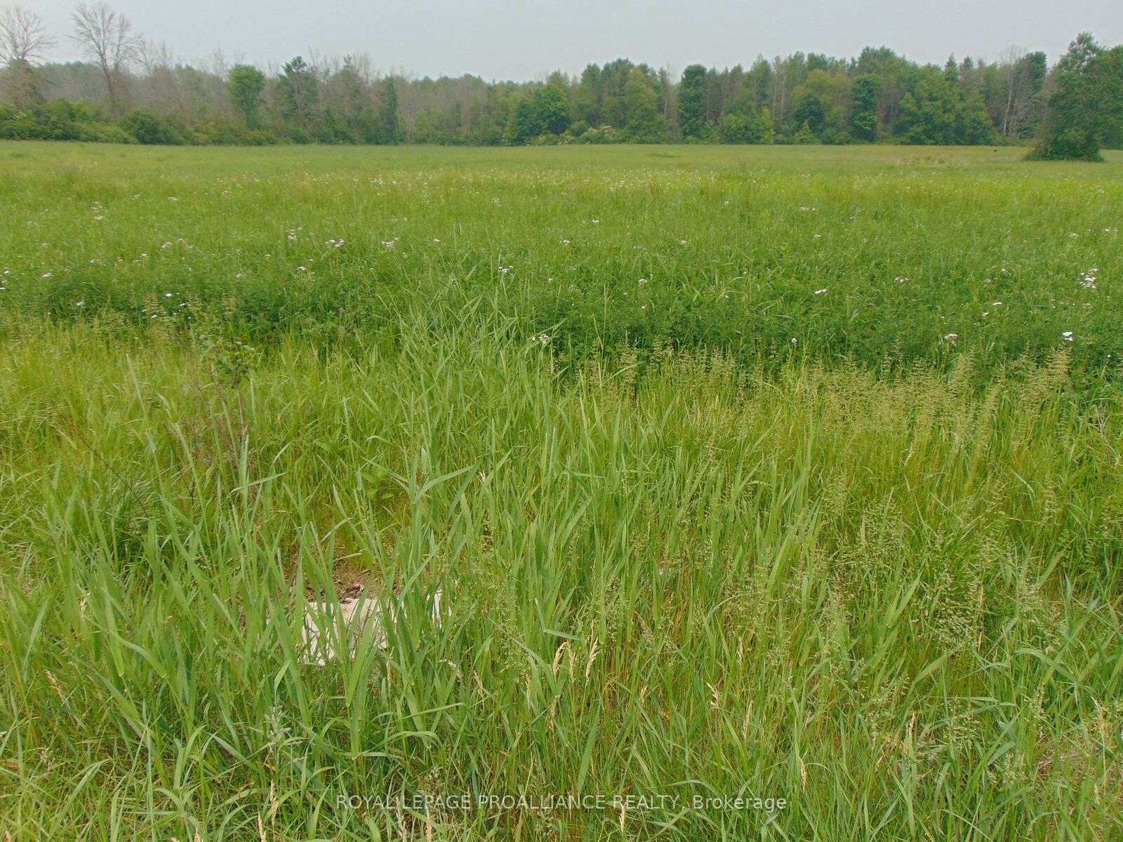 Property Photo:  00 Charleville Road N  ON K0E 1T0 