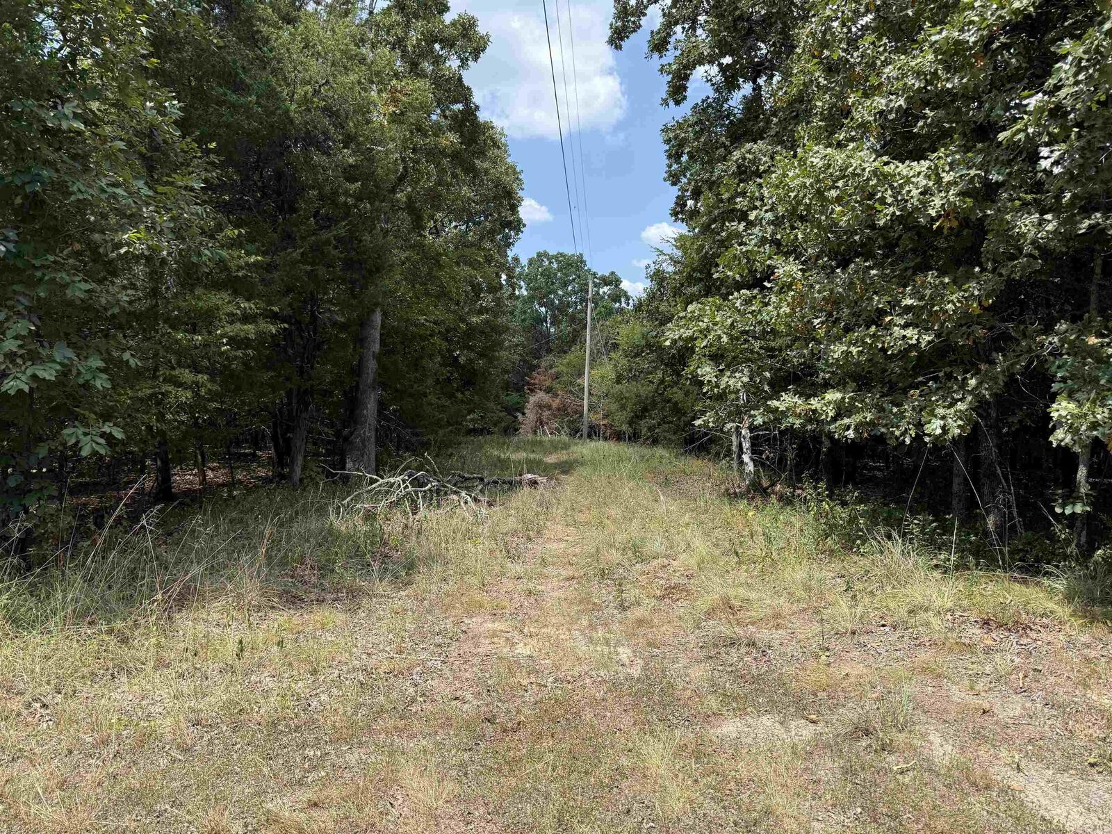 Property Photo: 00 Norris Lane AR 72802