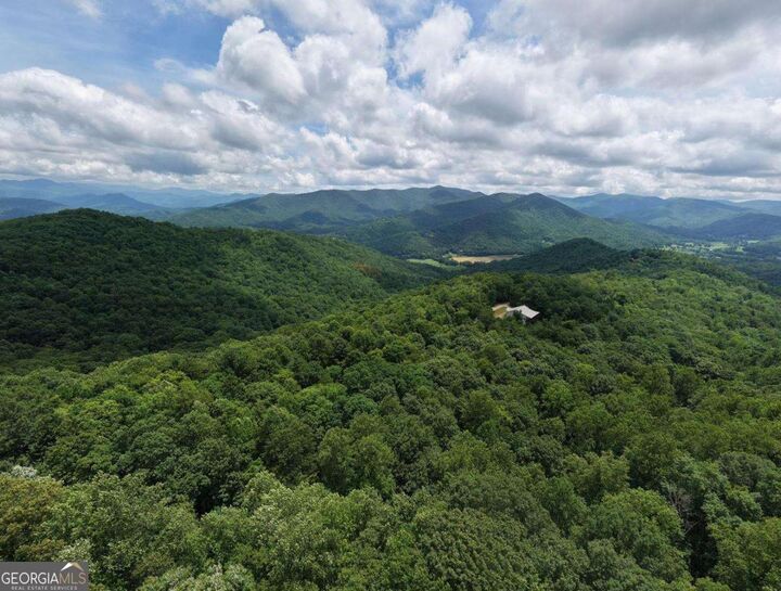 Property Photo:  34 Ac Caesar Gap Road A-G  GA 30546 