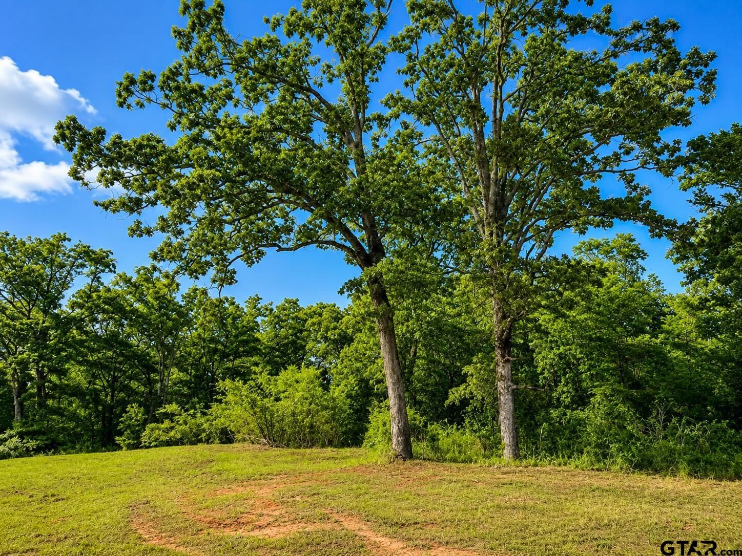 Property Photo:  Tbd W Hwy 80  TX 75773 