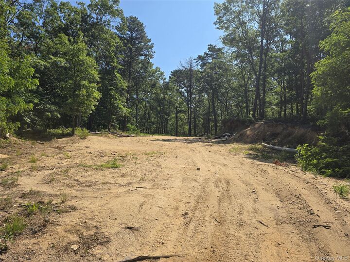 Property Photo:  Manor Yaphank Road  NY 11949 