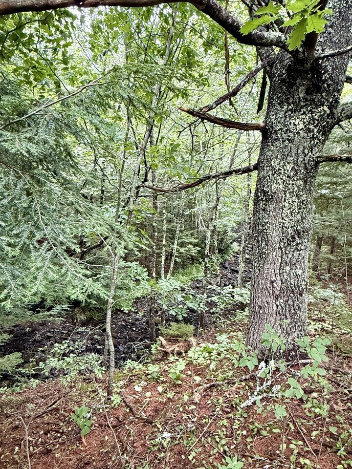 Property Photo:  Lot 35 Guzzle Road  ME 04607 