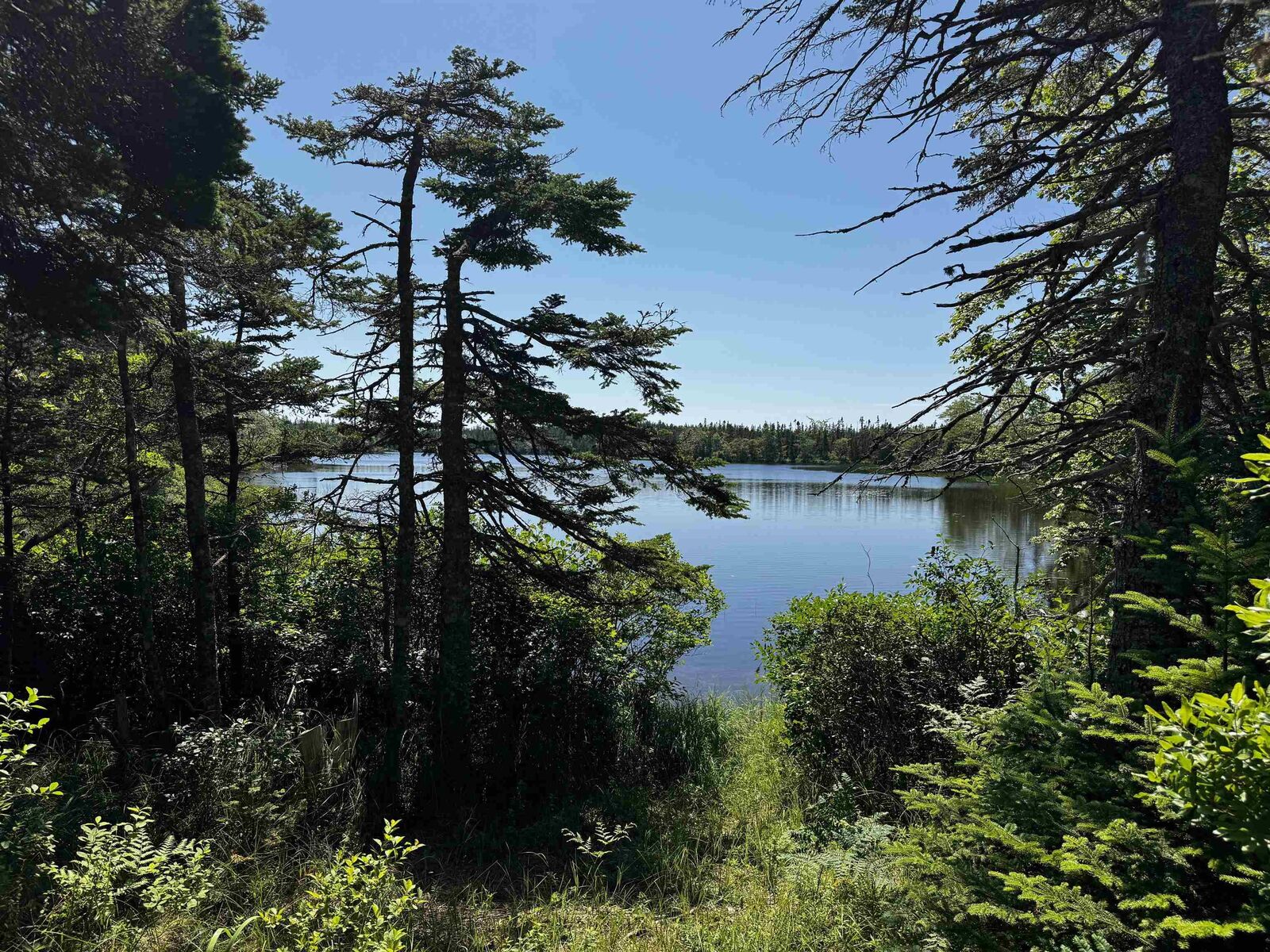 Property Photo:  Grandique Road  NS B0E 1A0 