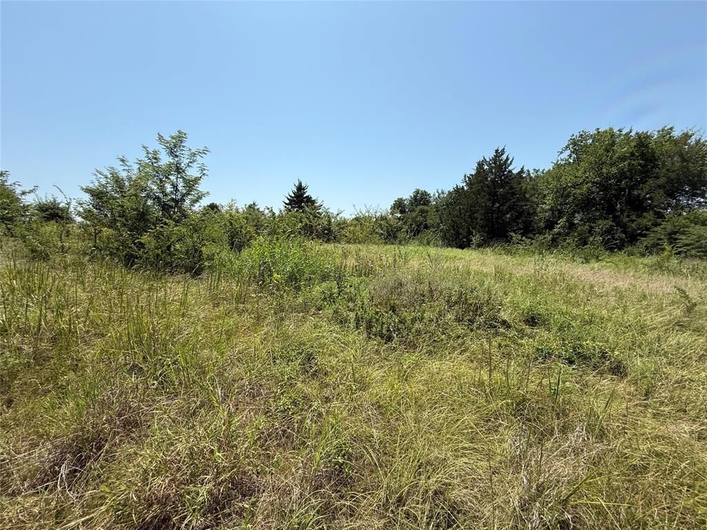 Property Photo:  2781 County Road 4581  TX 75482 