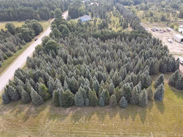 Property Photo:  Parcel A Danbury Road  MI 49649 