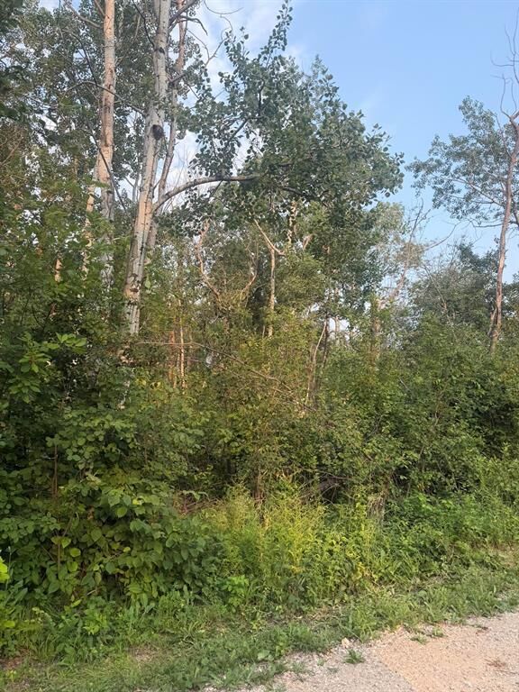 Property Photo: 17 Mildred Place MB R0E 0C0