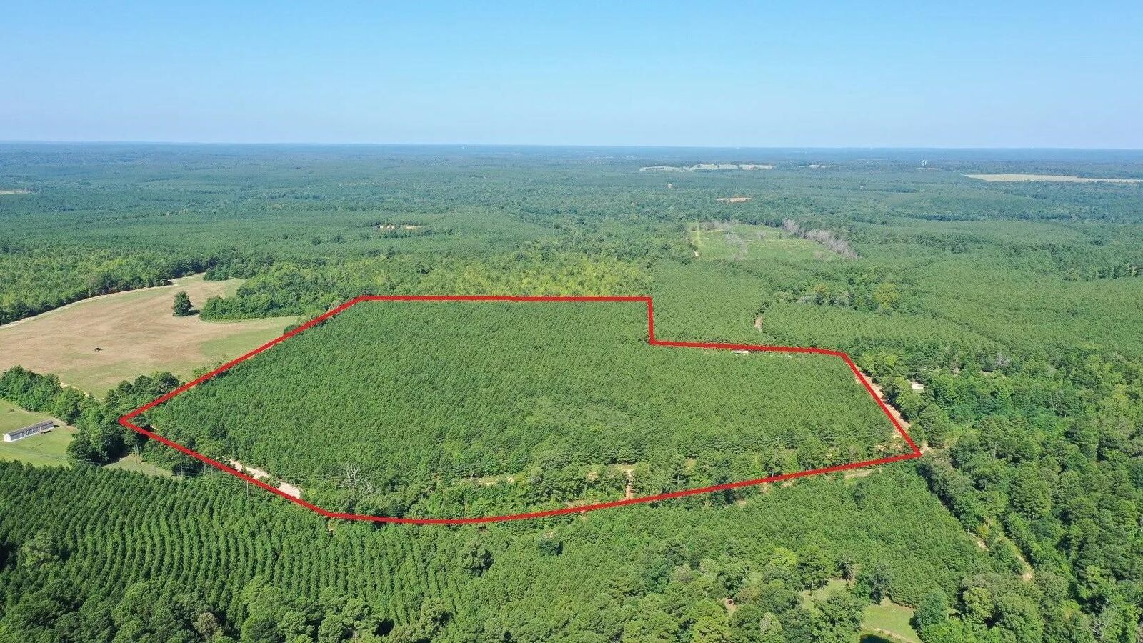 Property Photo:  0000 County Road 1619  TX 75563 