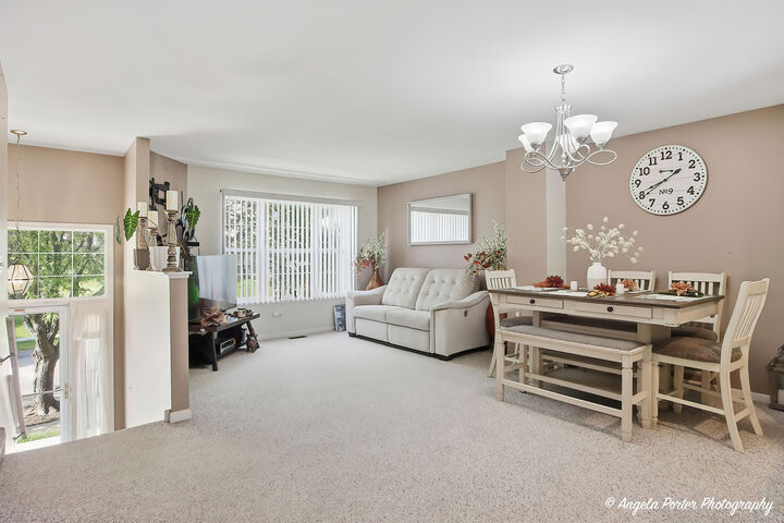 Property Photo:  34384 N Aster Court  IL 60073 