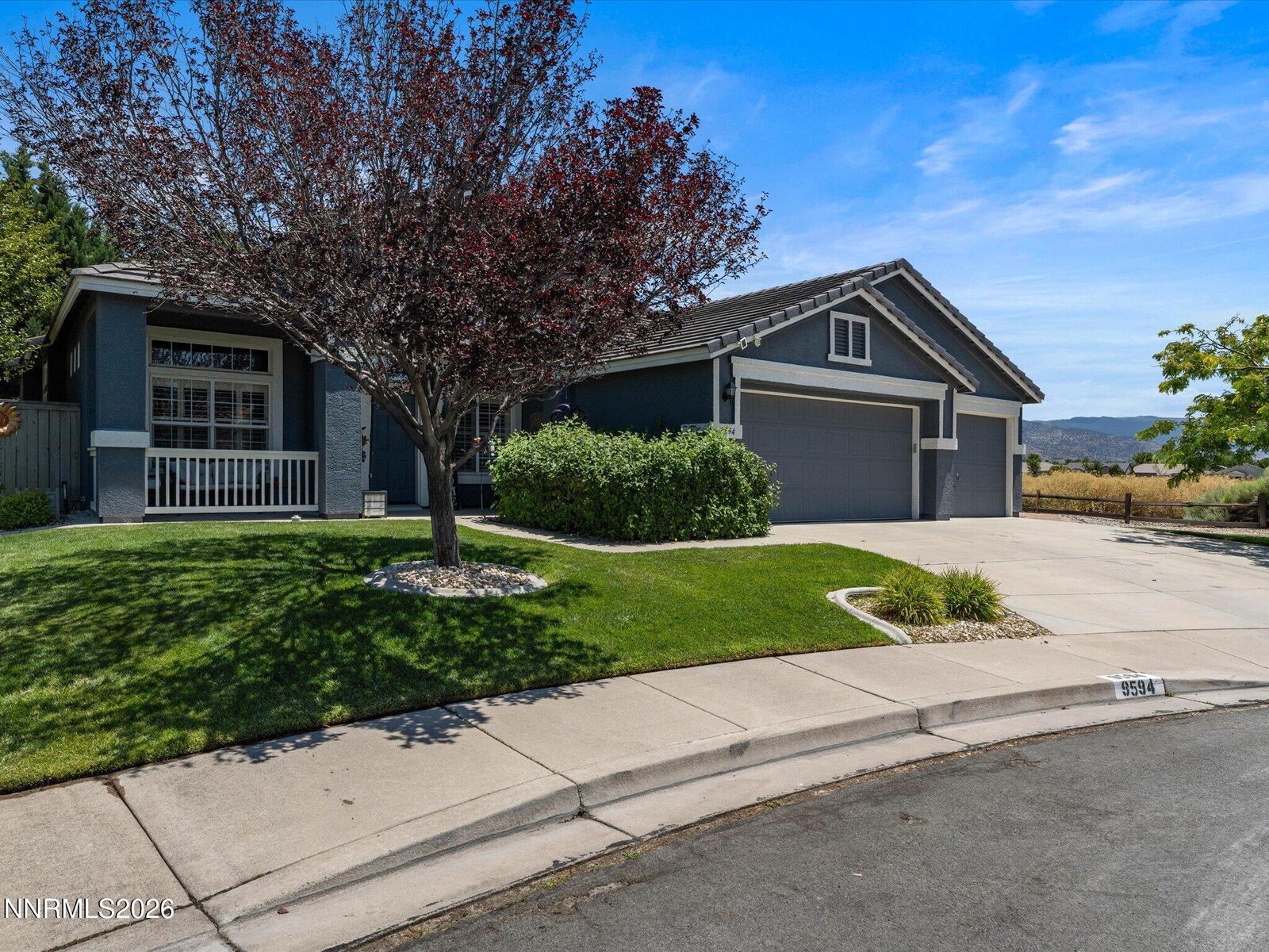 Property Photo:  9594 Steep Climb Court  NV 89521 