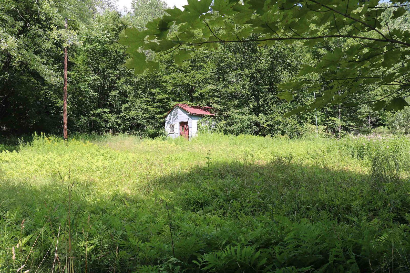 Property Photo: 564 Goose Pond Road VT 05454