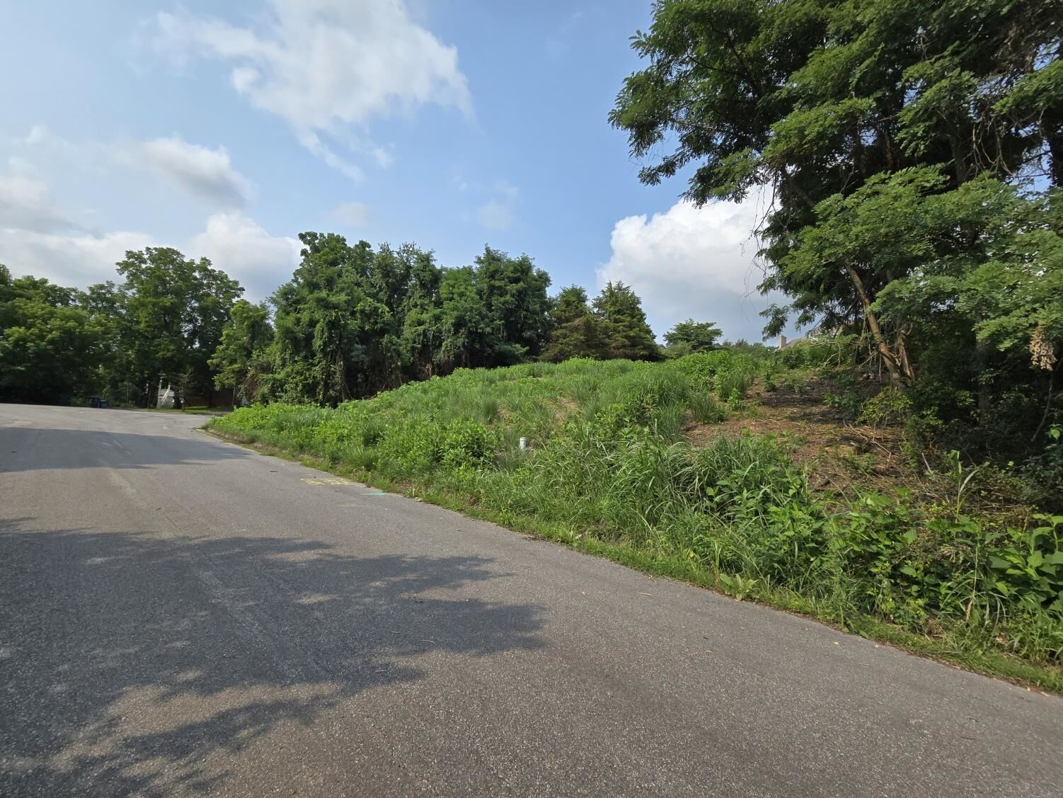 Property Photo:  610 Gigi Drive  VA 24060 