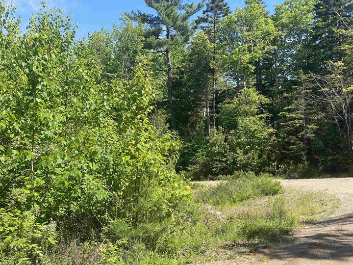 Property Photo:  0 Lake Mulgrave Road  NS B0S 1B0 