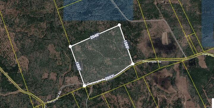 80 Acres Dalrymple Rd Road — photo 1