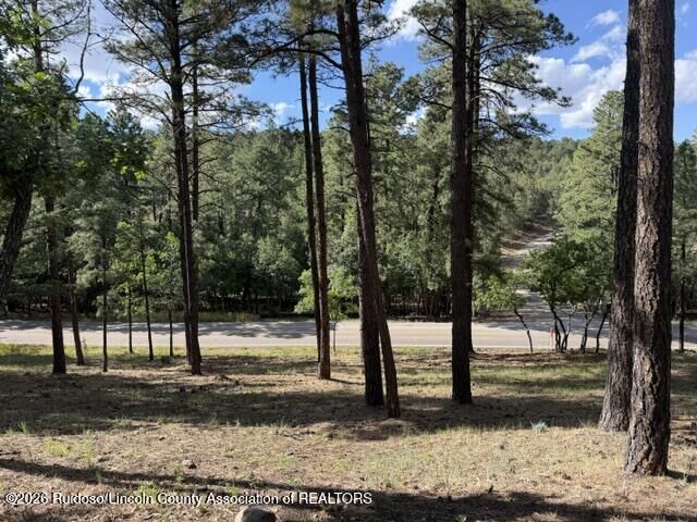 Property Photo:  Lot 62 Fort Stanton Rd. 4  NM 88312 
