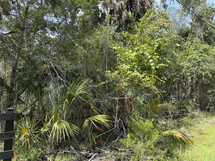 Property Photo: 10991 W London Lane FL 34448