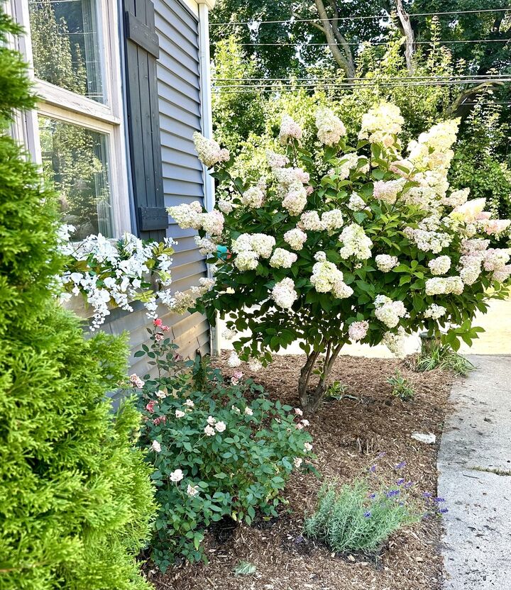Property Photo:  1N016 Woods Avenue  IL 60187 