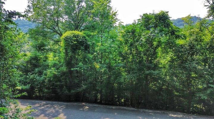 Property Photo: 0 Williamson Circle TN 37166
