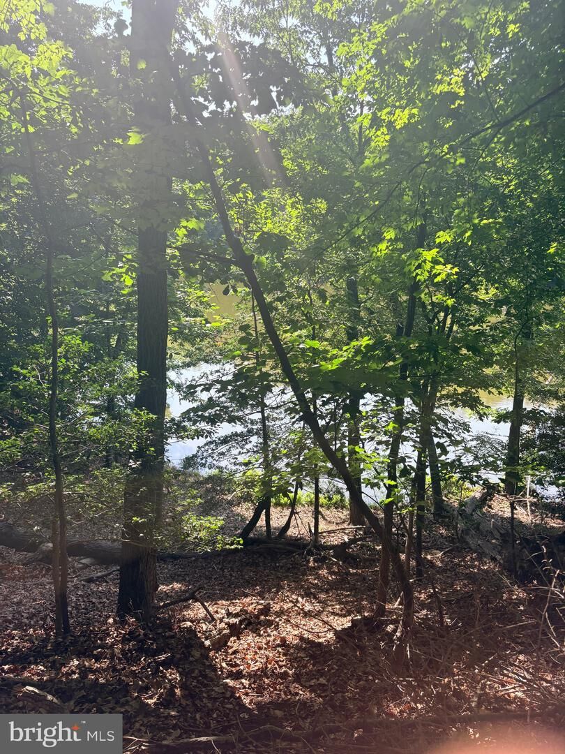 Property Photo:  527 Beaumont Court  MD 20657 