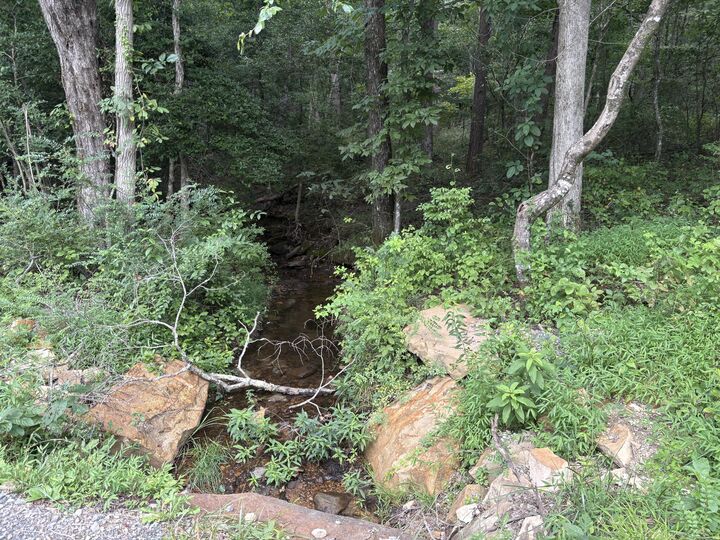 Property Photo:  0 Griff Johnson Road  GA 30731 
