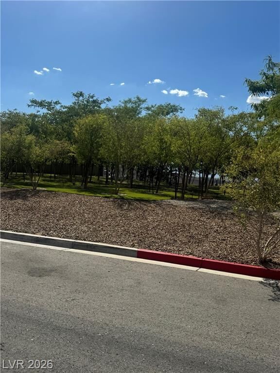 Property Photo:  5 Talus Court  NV 89012 