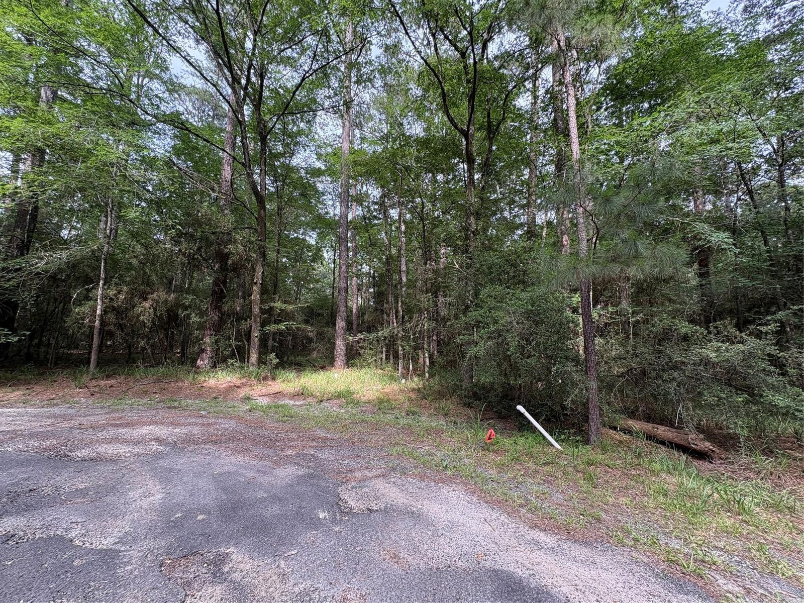 Property Photo: Tbd N Clear Springs Road TX 75862