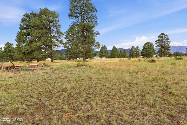 Property Photo: 6314 E Burris Lane AZ 86004