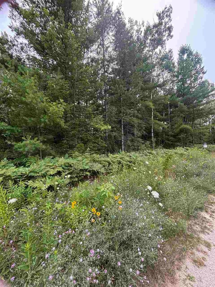 Property Photo:  871 Zipf  MI 49769 