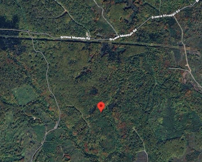 0 Browns Mountain Road, Browns Mountain — photo 1