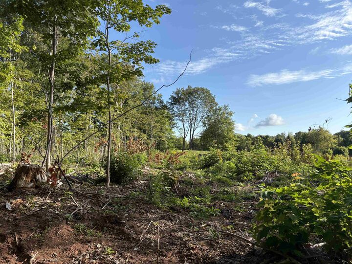 Lot 24-1 Lorabelle Court — photo 1