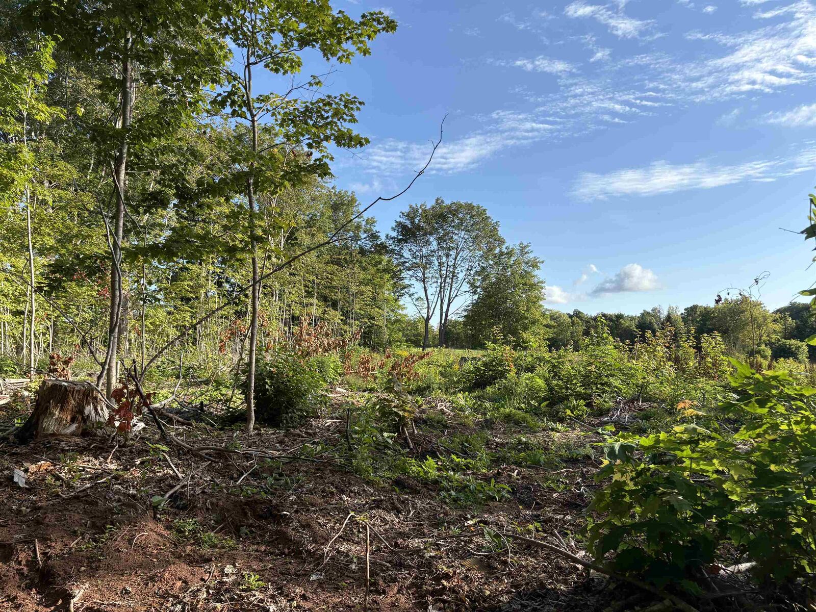 Property Photo:  Lot 24-1 Lorabelle Court  PE C0B 1K0 