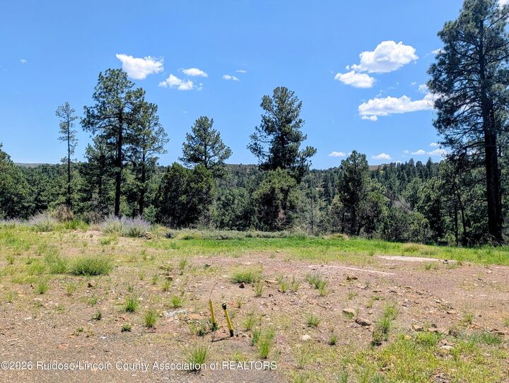 Property Photo: 186 Deer Creek Road NM 88345