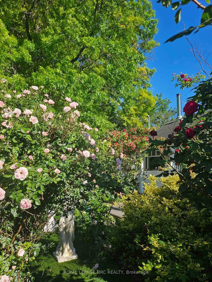 Photo de la propriété:  7 Vera Street  ON L2S 1C3 