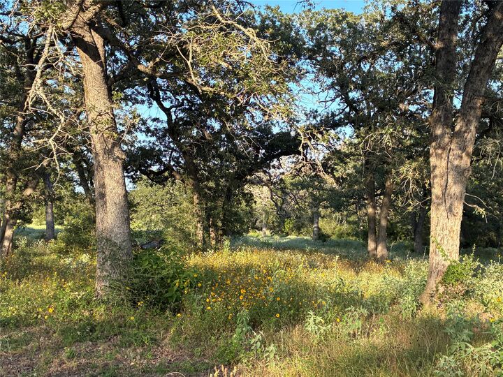 Property Photo:  2933 County Road 457  TX 76577 