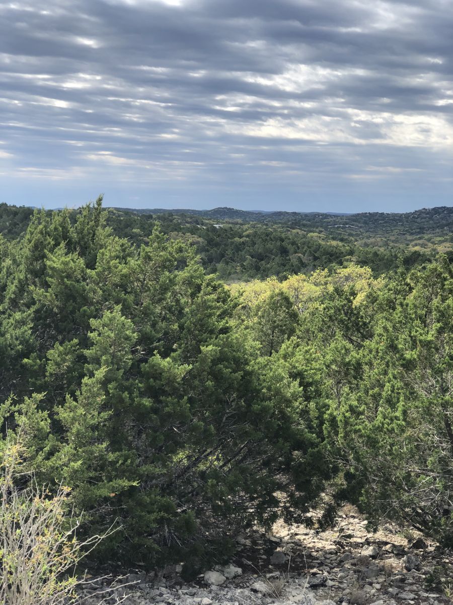 Property Photo: Tbd County Road 635 TX 78880
