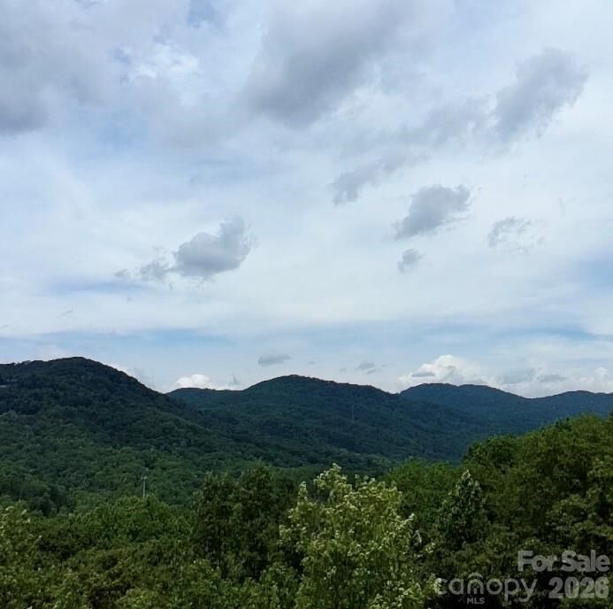 Property Photo:  0 Ridgecrest Road  NC 28746 