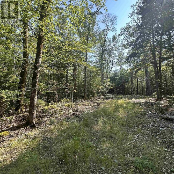 Lot 49 Island View Terrace — photo 1