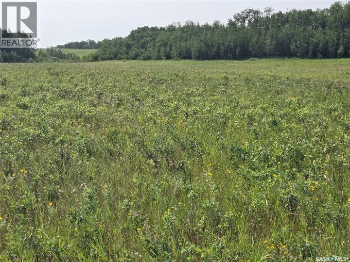 Property Photo: Laroque Land SK S0K 1J0