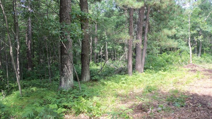 Property Photo:  Lot 7 Birch Tree Trl  WI 54801 