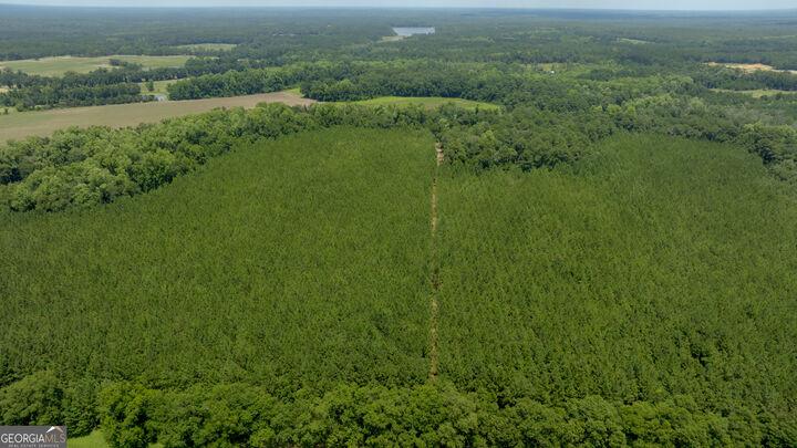 Property Photo:  0 Sunbury Road  GA 30417 