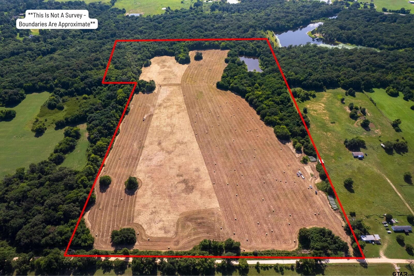 Property Photo: 940 E County Road 1106 TX 75482