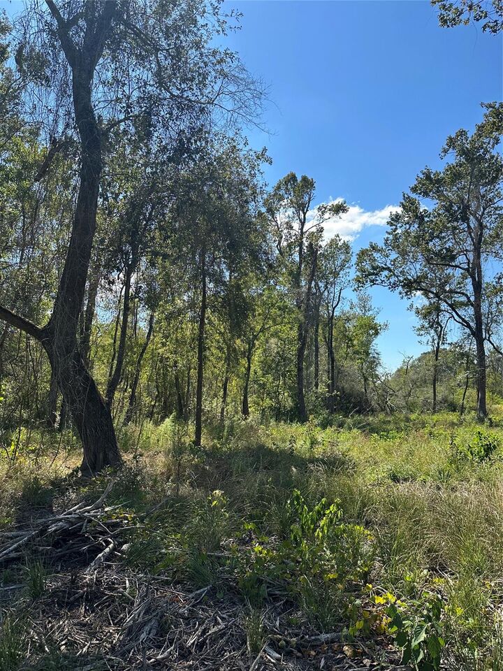 Property Photo:  1520 Fm 160 Road N  TX 77575 