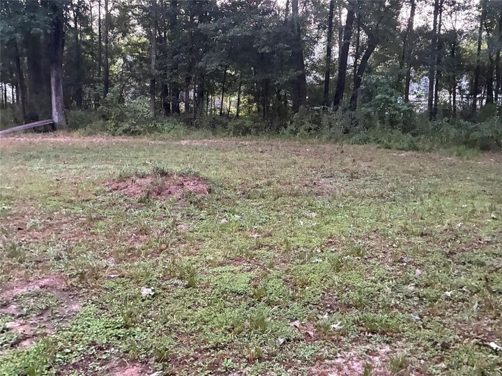Property Photo: 0 S Oak Street TX 77372