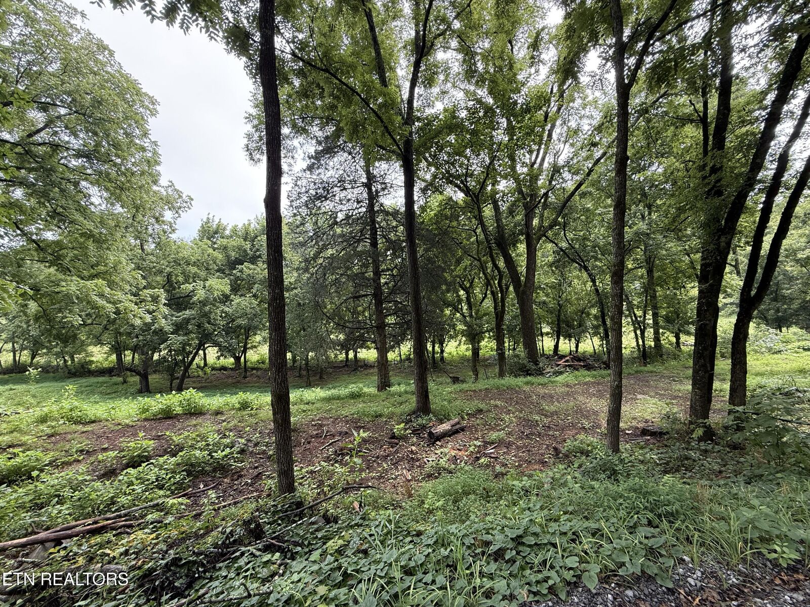Property Photo:  Lot 1 Mitchell Rd  TN 37820 