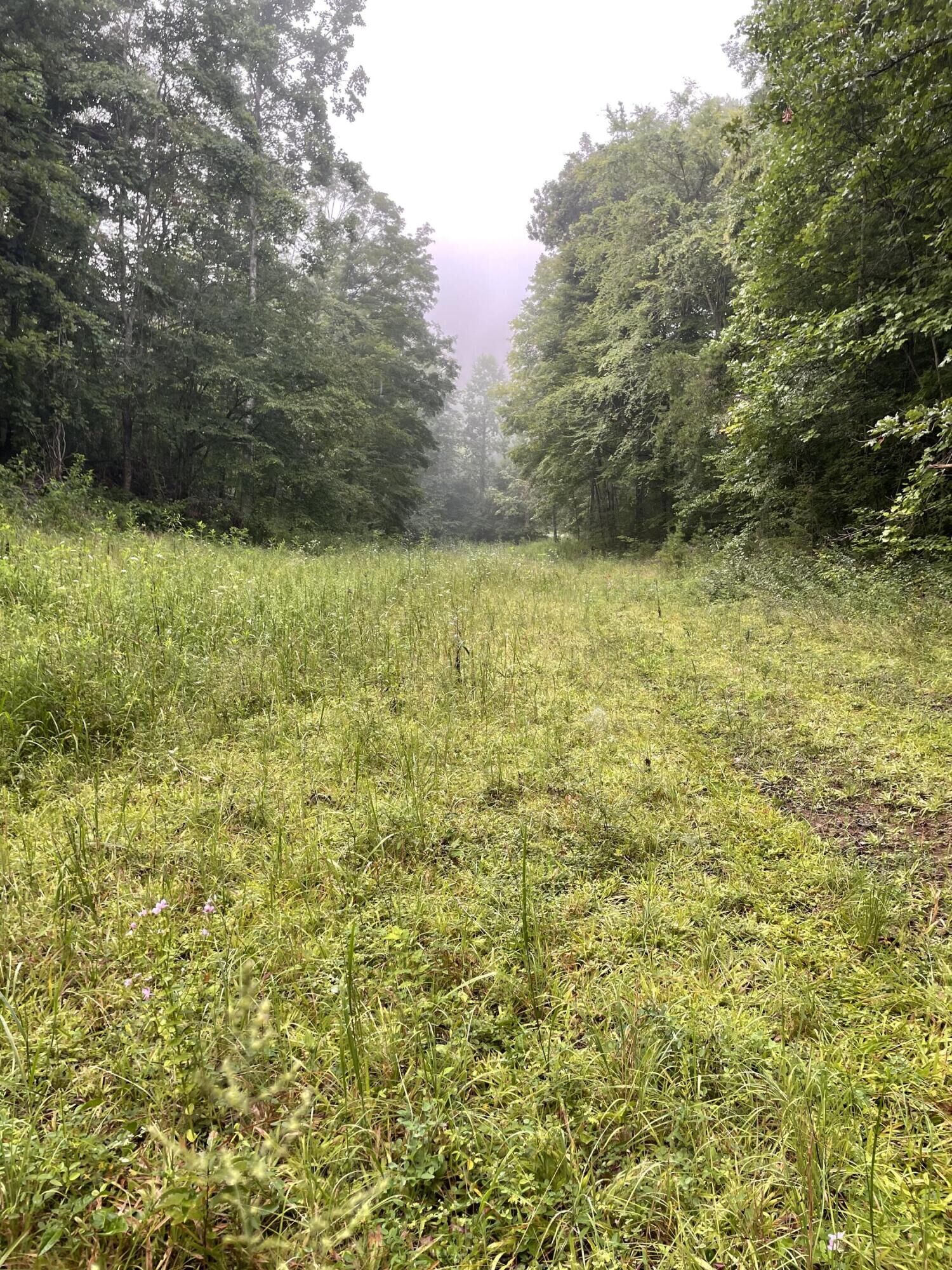 Property Photo: Tbd Bullen Valley Road TN 37881
