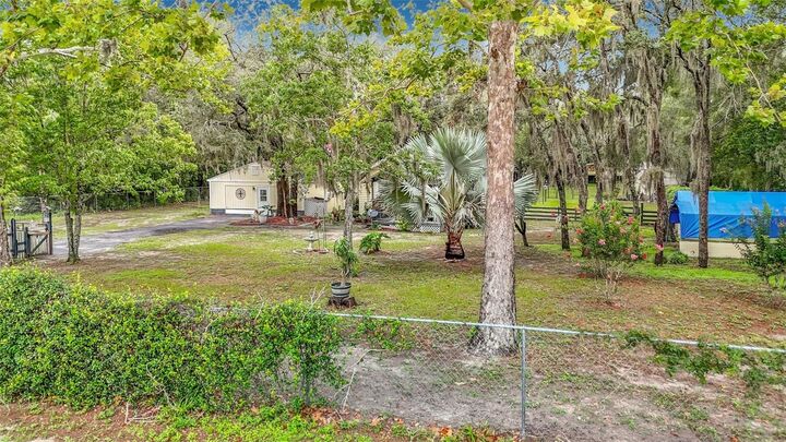 Property Photo: 11705 Mary Lou Drive FL 34669