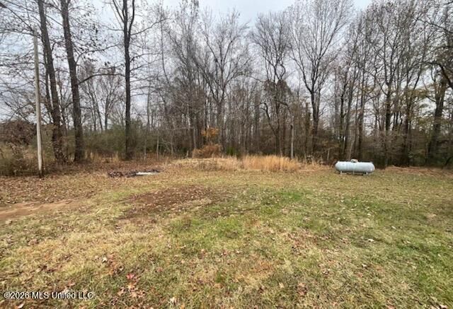 Property Photo: 1340 Alonzo Gipson Road MS 38666