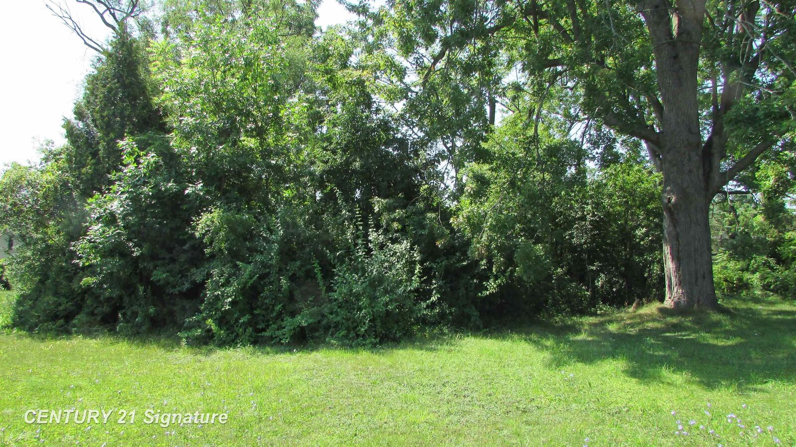 Property Photo:  Parcel A Gratiot Road  MI 48638 