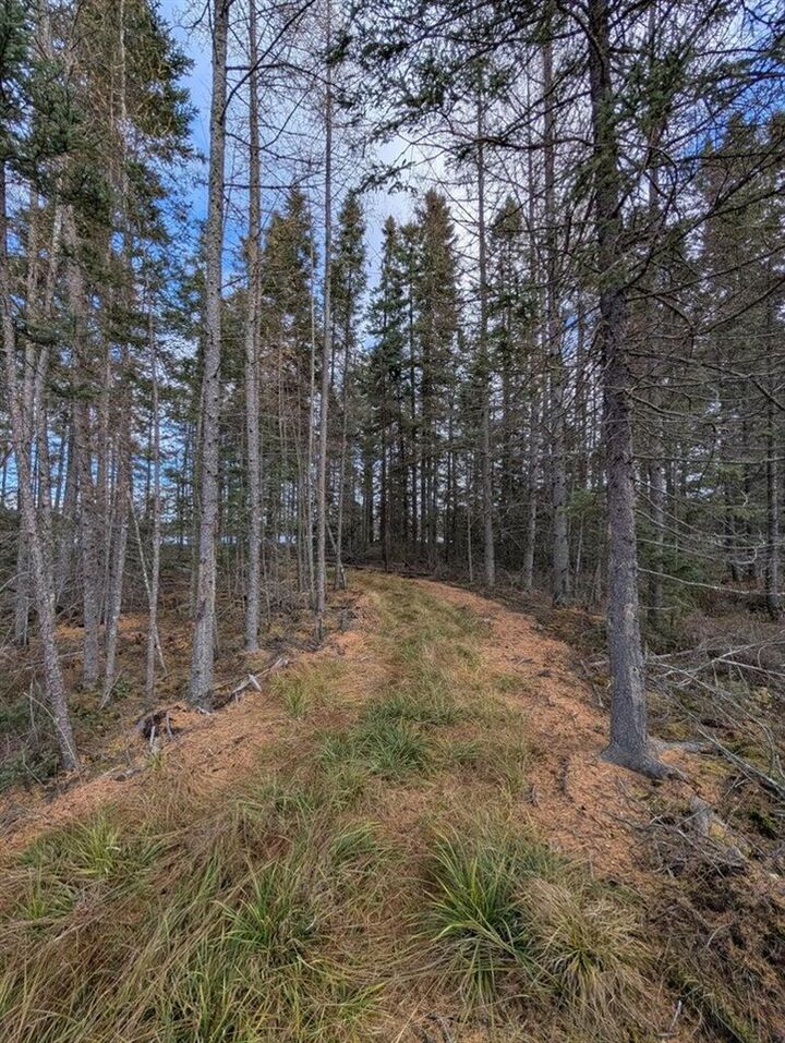 Property Photo: Vl Slough Lake Road MI 49841-9011